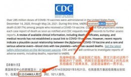 前辉瑞副总裁爆料视频,揭秘制药巨头背后的真相！”